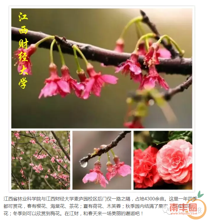 87c47104b522f36a0a54d036c43cadb2.png