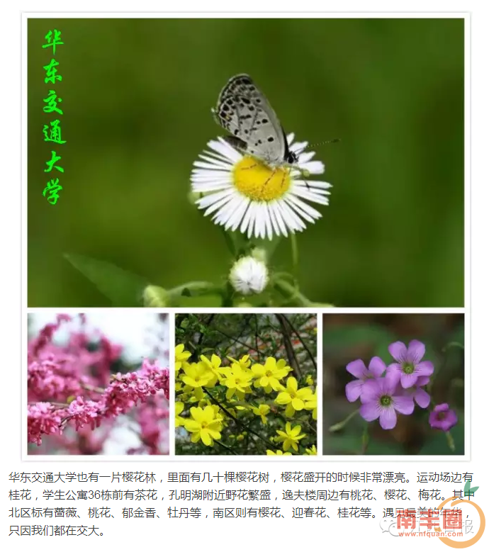 8ed5da464edf53661b56f3c15b11ed6e.png
