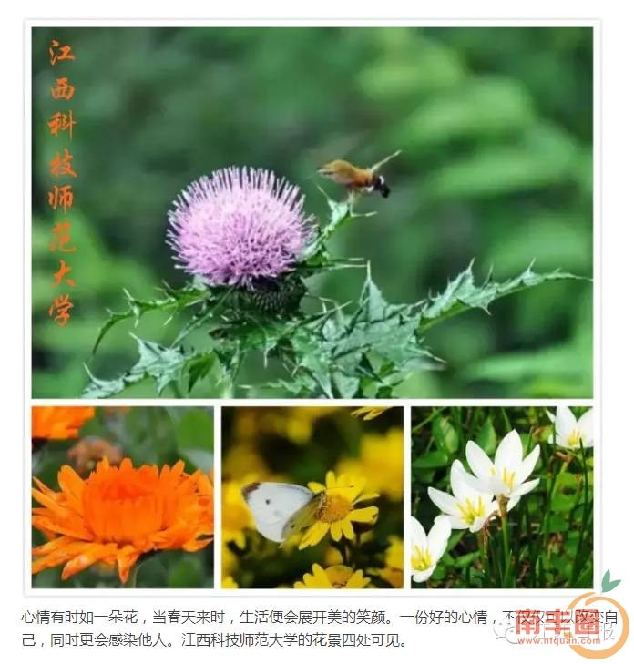 001caf4ab459e32a158f91488e134be1.jpg