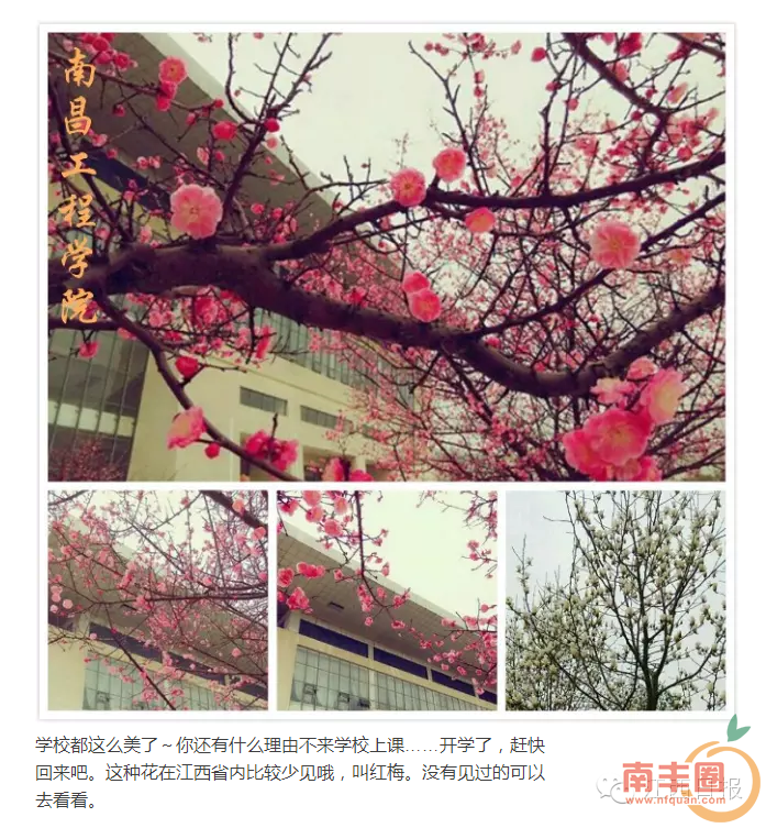 b83351b2d5353b3b43bc80b3bada60bf.png