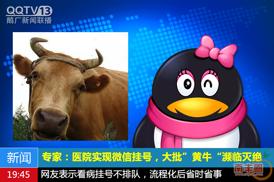 ab7b8ed41a2725e3c1de15f74b30ff12.png