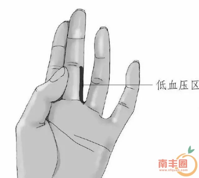 13ade714e33c758dd1e47ea46fb94385.jpg