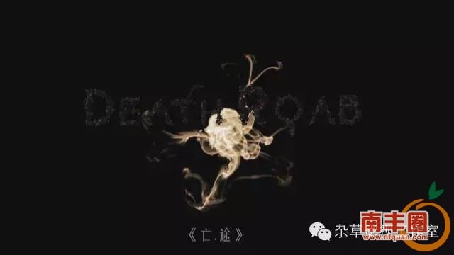 140342vjjk6kmy6miqjqje.jpg