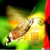 5bc000bd2352efece8b.jpg