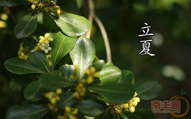 5bd0008d2d5430f28e5.jpg