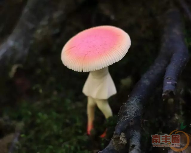 640.webp (35).jpg