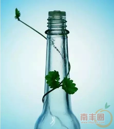 0.webp (5).jpg