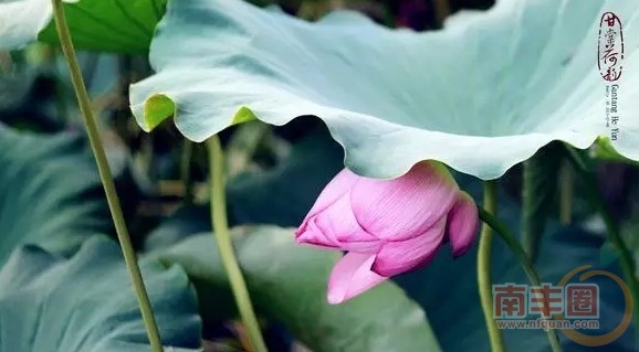 640 (1).webp.jpg