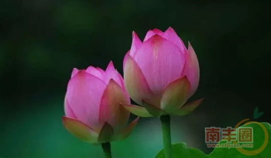 640.webp (11).jpg