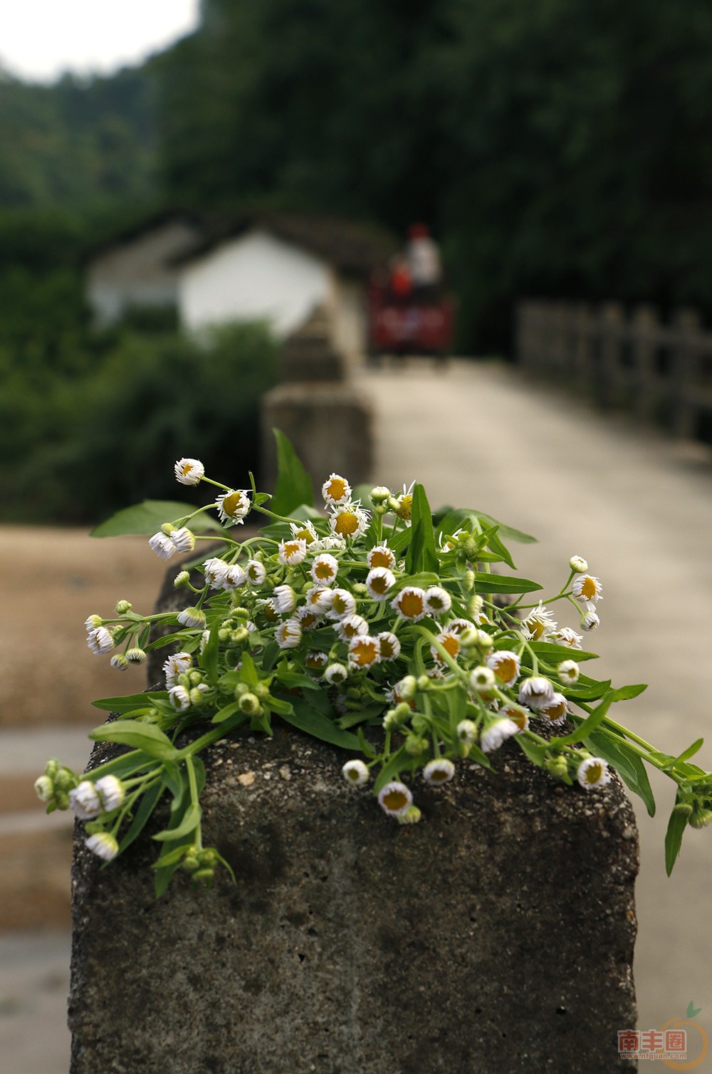 _MG_3278.jpg