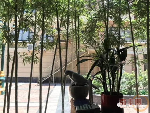 640.webp (17).jpg