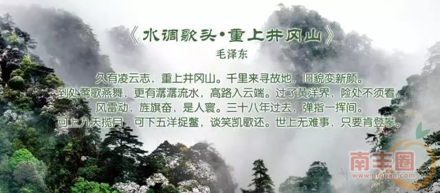 640.webp (6).jpg