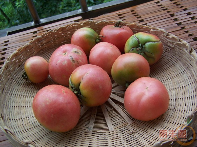 b0d000274ea9598ede0.jpg