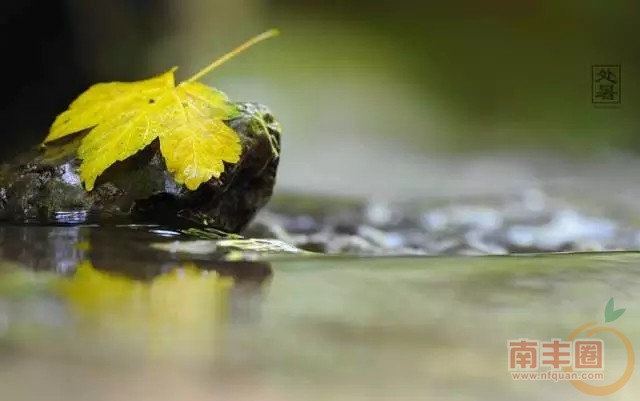 640.webp (4).jpg