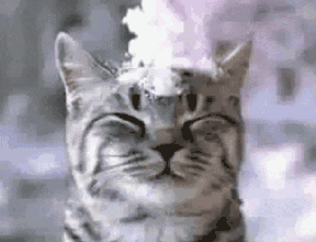 d9ab8a516546222413a356479f673c7a.gif