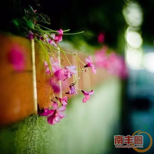 ecc6f7564f57d29a3514b1253ac47bf5.jpg