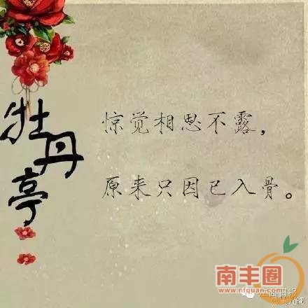 8bc777ce69b015cc9565ca60d366e879.jpg