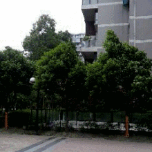 8dc91556cca692d420108112966b535b.gif