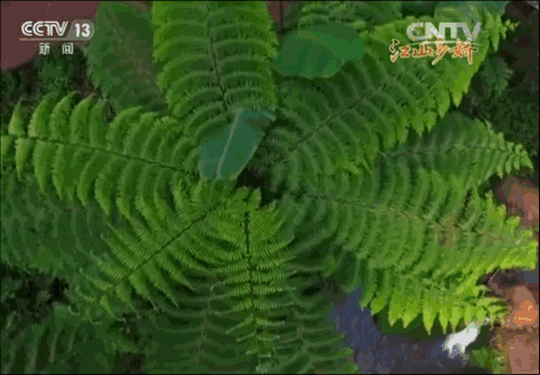 1c305ceb6f1dfbca351b68ddad029da5.gif