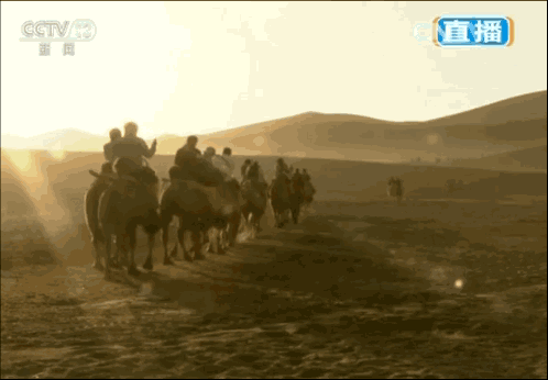 0005d38bb7c75687011f2a6bb325ffa4.gif