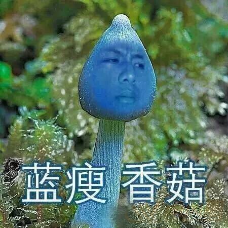 a3cc34afe06d7f7c812ea32d9f27f693.jpg