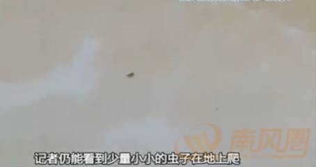 2d30c48366d18d9cb402eac7dd982418.jpg