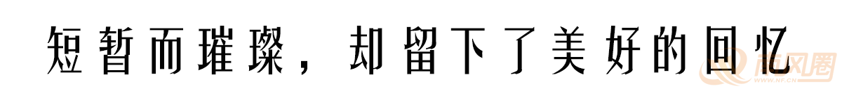 59bfb1c265dc3d7cd60435bd0f19044c.png