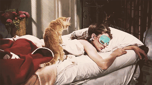 7b16659c87a39d2ab5db209ef4a14cdb.gif