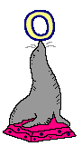 fec622e741a92bf5a49a8357395c7e9a.gif