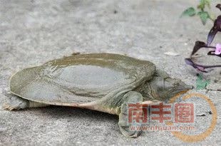 1d711dfe934061b9934b08aef9d0d1e5.jpg