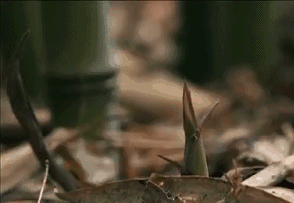 d8e6f3993d9ad32716bd6316f7a179cb.gif