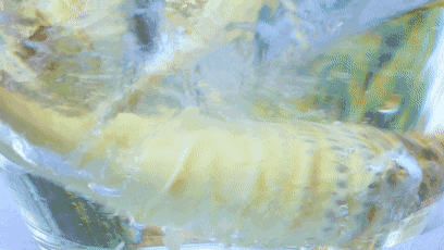 70cb1b459921143674e562591e961122.gif