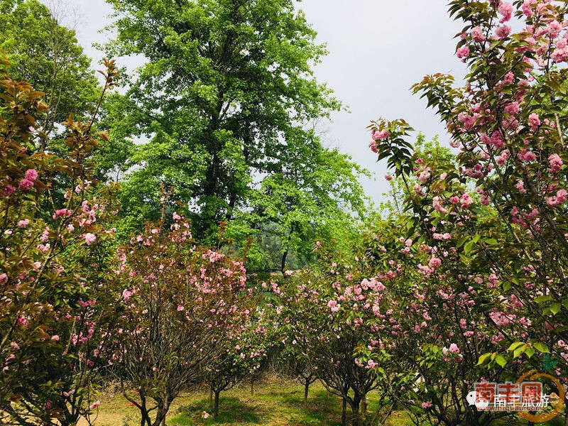 a42b740166fc3e4bbafb43d2475909b0.jpg