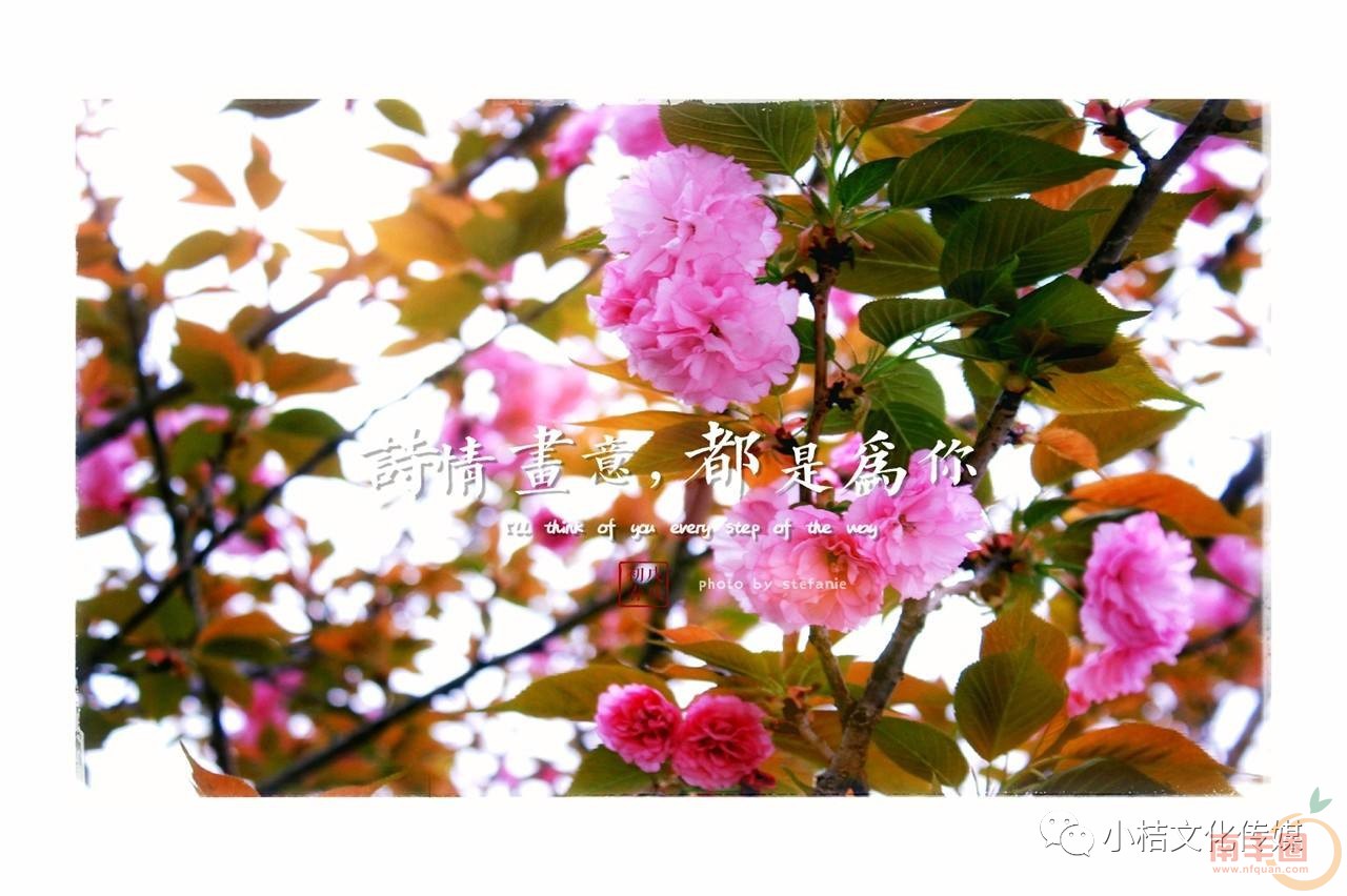 41ec7c7a968fbad65dcfde1acad76400.jpg