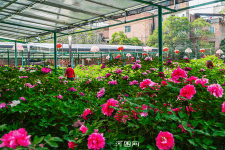 80d78d68e0f904e7db42253a119dd215.gif