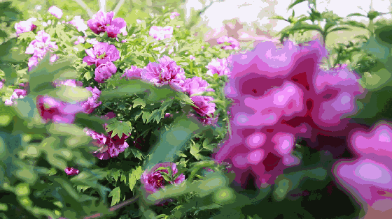 72f8cbafcd6134c76ca67264b9793ee5.gif