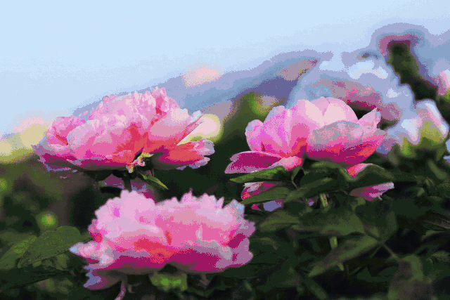 c6536adf4b0b53a8e8472227326ed05d.gif