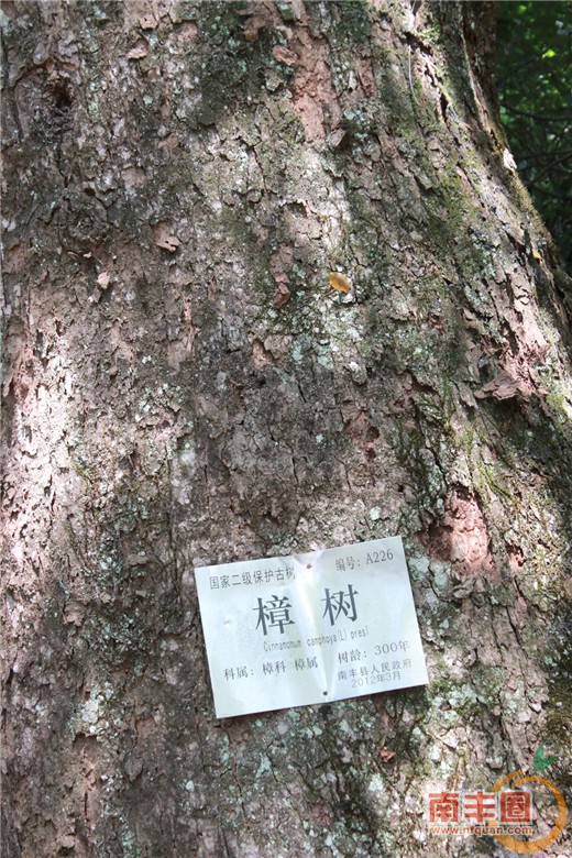 ee5a2e8399ff23db9fae171e81ddf555.jpg