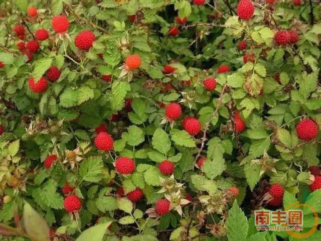 709faba4b233a34e9153587a6c9d89b5.jpg