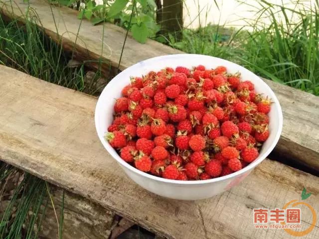 541cb1a71b1960d290dd02c2022879ca.jpg