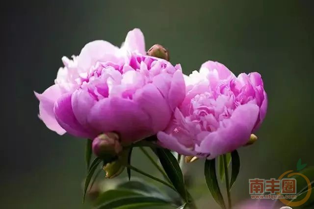 5f1f5106da8642385d2c34f30c4caa38.jpg