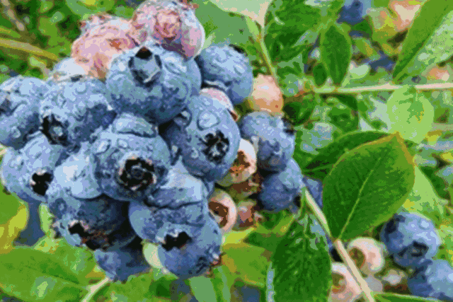 b0dd589ee9ff688cb6f3742d394e8e78.gif