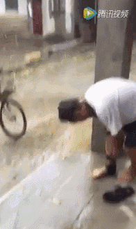 f504ba8041449bdd3e4f3b54378998d0.gif