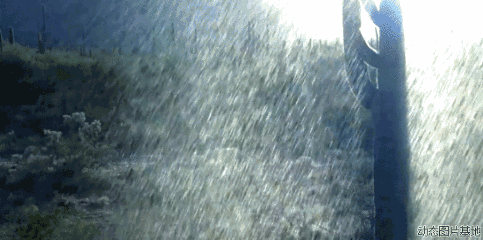 77f36e867116480a18c8dede6dec2fa4.gif