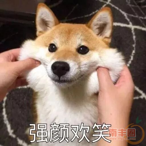 a2f8e37c80d96c98e83da3b6b817de02.jpg