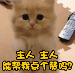 47a794199d9eba31b5b029fe61e48223.gif