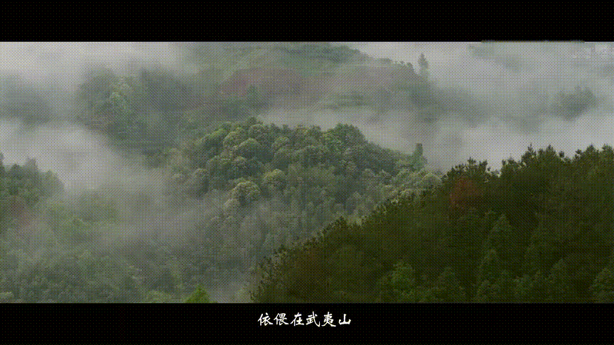 a5c7957d037bcaeef30405f9f766fc96.gif