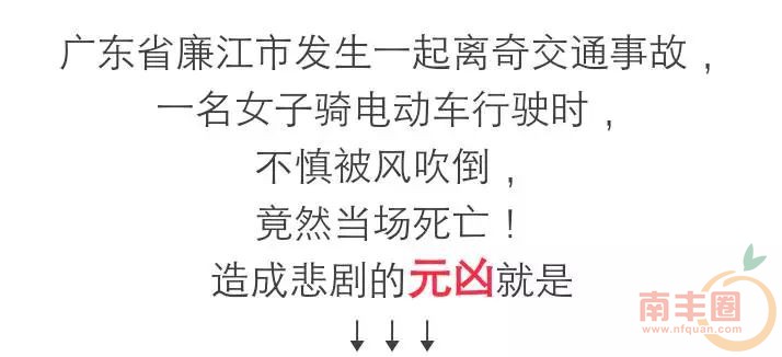 65d794d2f1972cbd98c733322991cecb.jpg