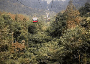 dd2881a2b807f86aed293d23cf8f7068.gif