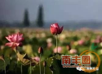 ec20c487a0770575e7c3a6bea27ef267.jpg